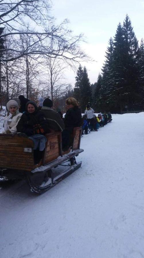 Agroturystyka,, Ranczo Kruszynki" Stronie Slaskie Bagian luar foto