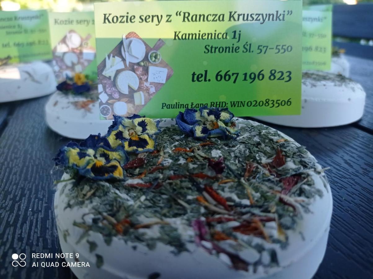 Agroturystyka,, Ranczo Kruszynki" Stronie Slaskie Bagian luar foto